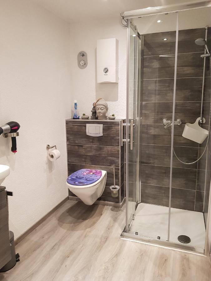 Lila Pause Apartment Ellweiler ภายนอก รูปภาพ